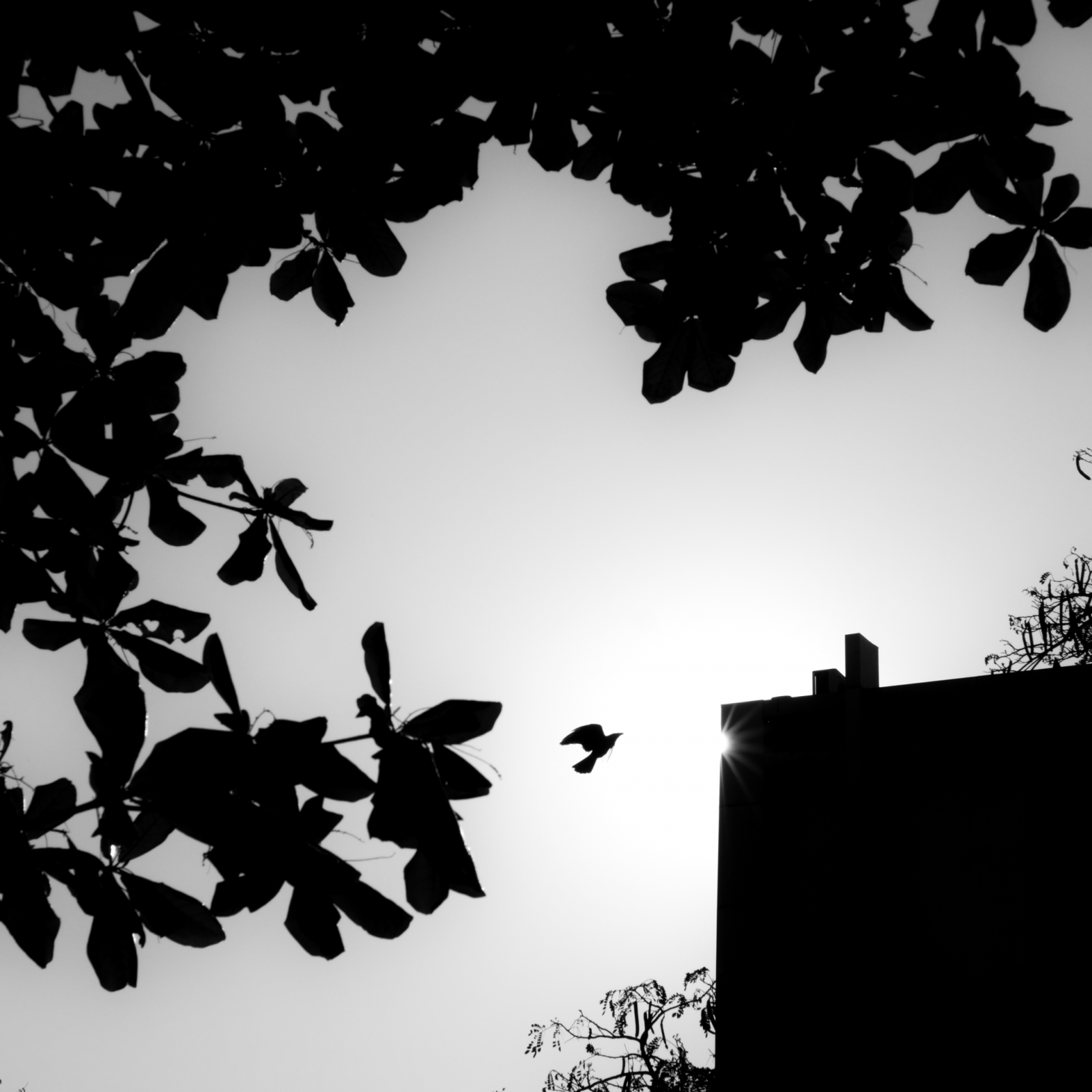 2021_0228_16575000-01.png