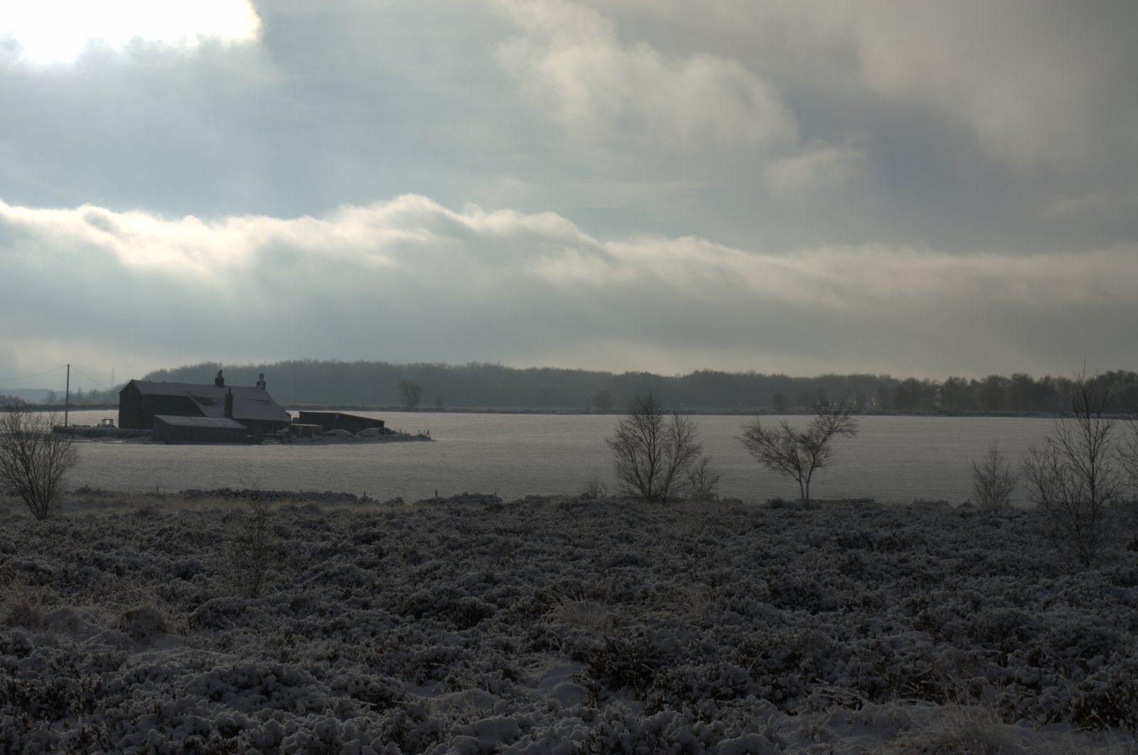 DSC_0181.jpg