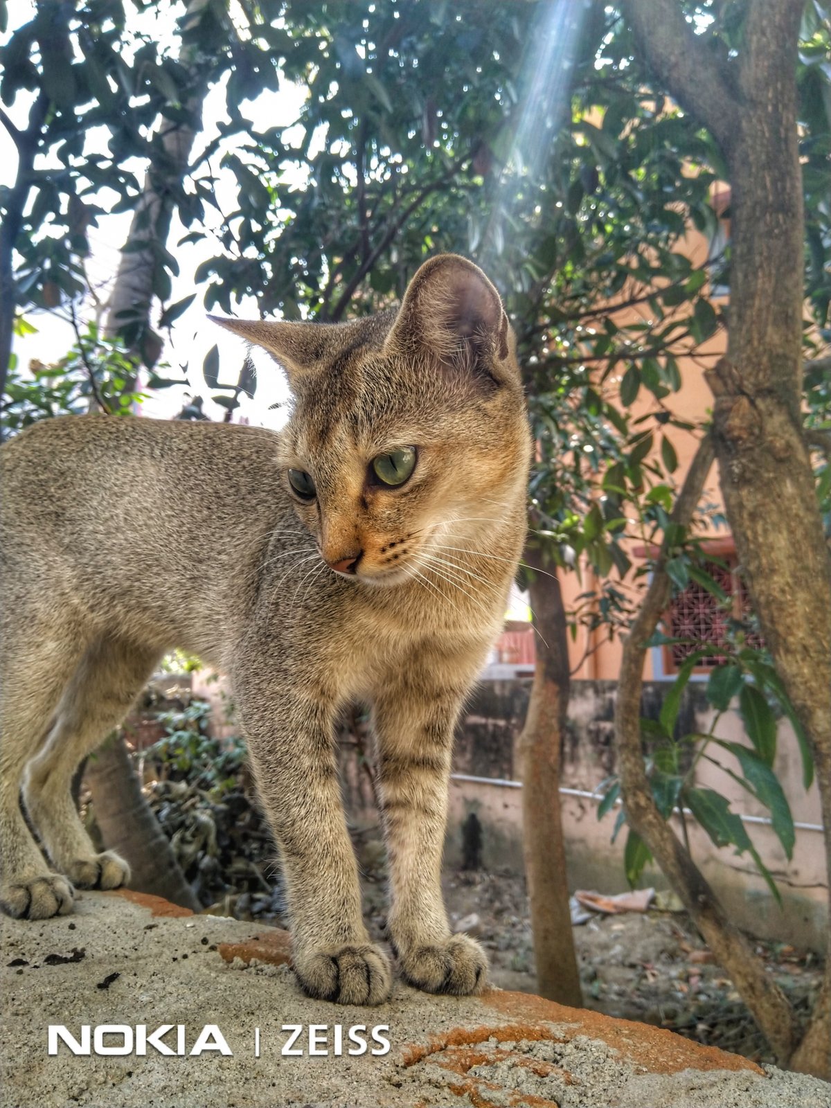 IMG_20201025_114430-01.jpeg