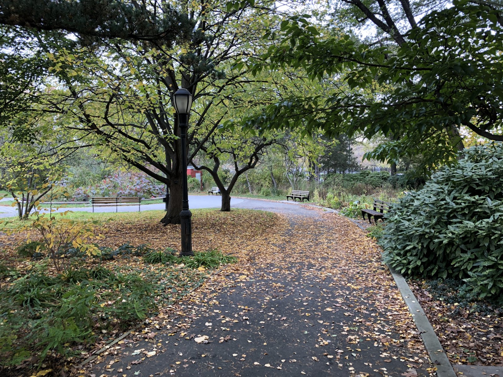 ParkBenchQueensNYC.jpg