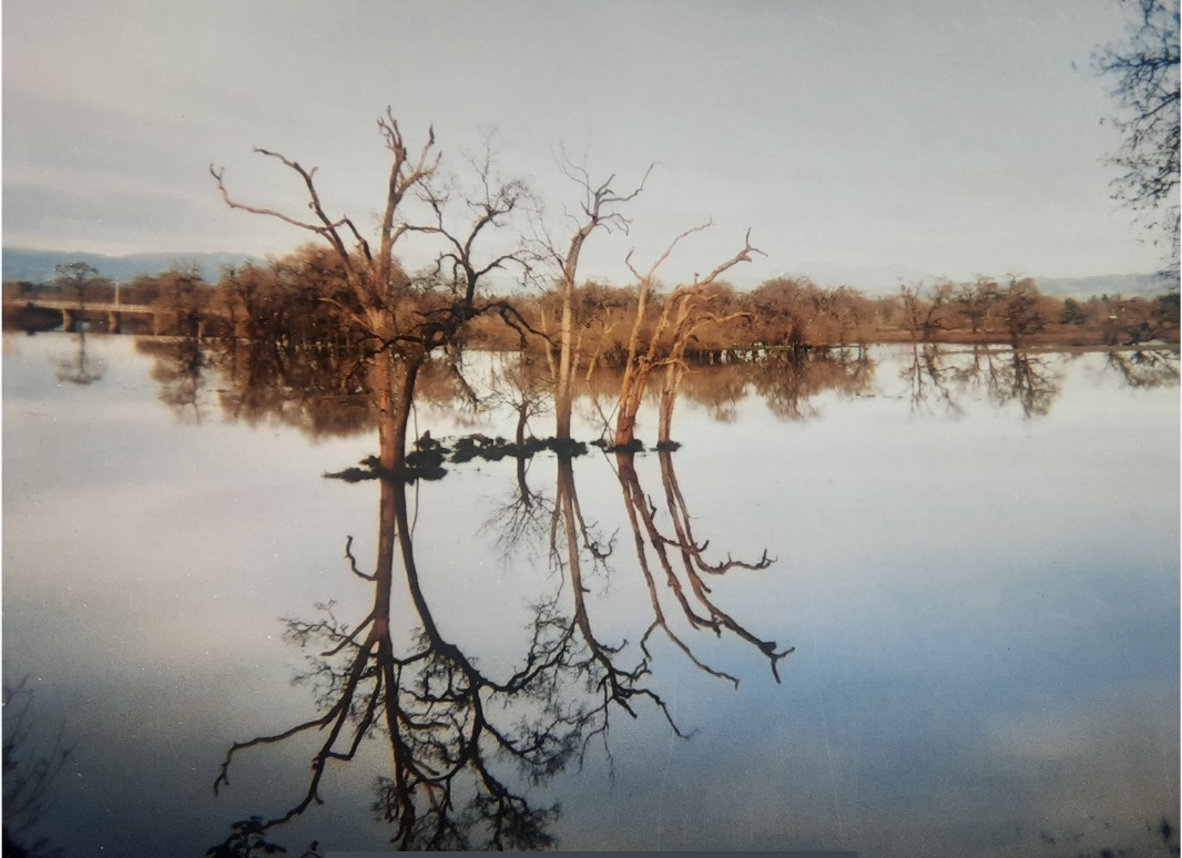 Winter Lake.jpg