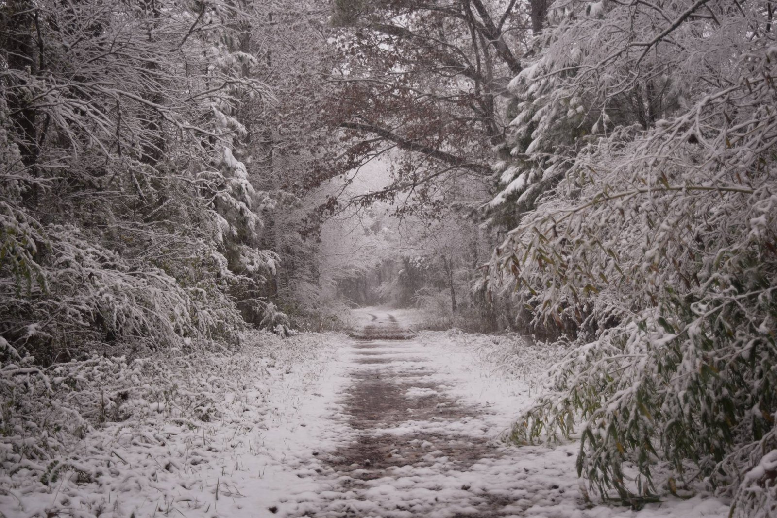 Winter_OM.jpg