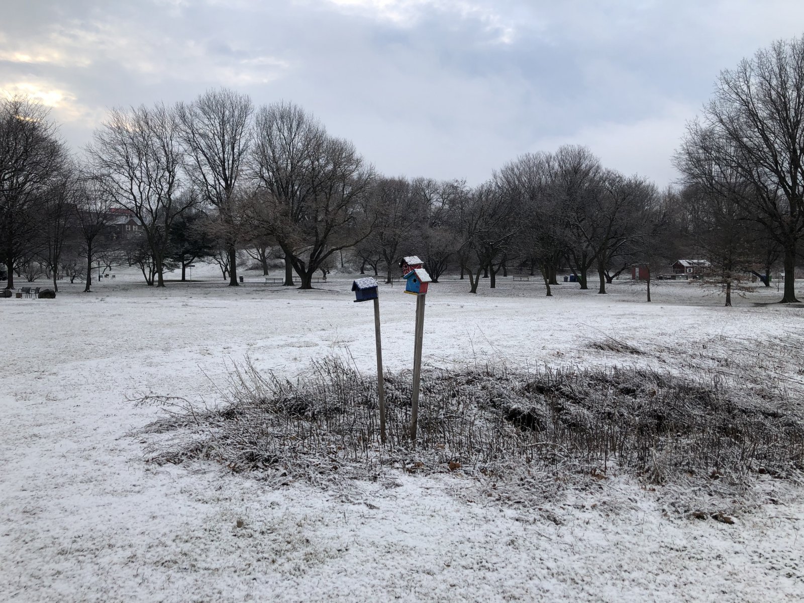 WinterBirdHouse.jpg