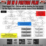 Brick MADNESS EXTRAS flow.jpg