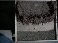 921B0741-D425-4DEE-A2B4-2714BA7A35AF.jpeg