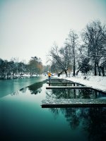 IMG_20181220_142806-02[1].jpeg