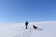 over the tops.jpg