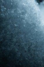 CY4B0977-2.jpg