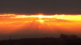 DSC_0028_11.jpg