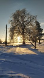 IMG_20210211_083441.jpg