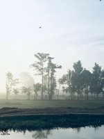 PicsArt_03-01-12.46.44.jpg