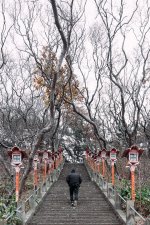 Aomori Winter.jpg