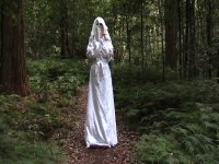 premonition2.jpg