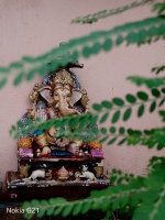 IMG_20231004_070741.jpg