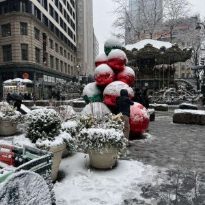 WhatsApp Image 2025-12-15 at 4.56.32 PM.jpeg