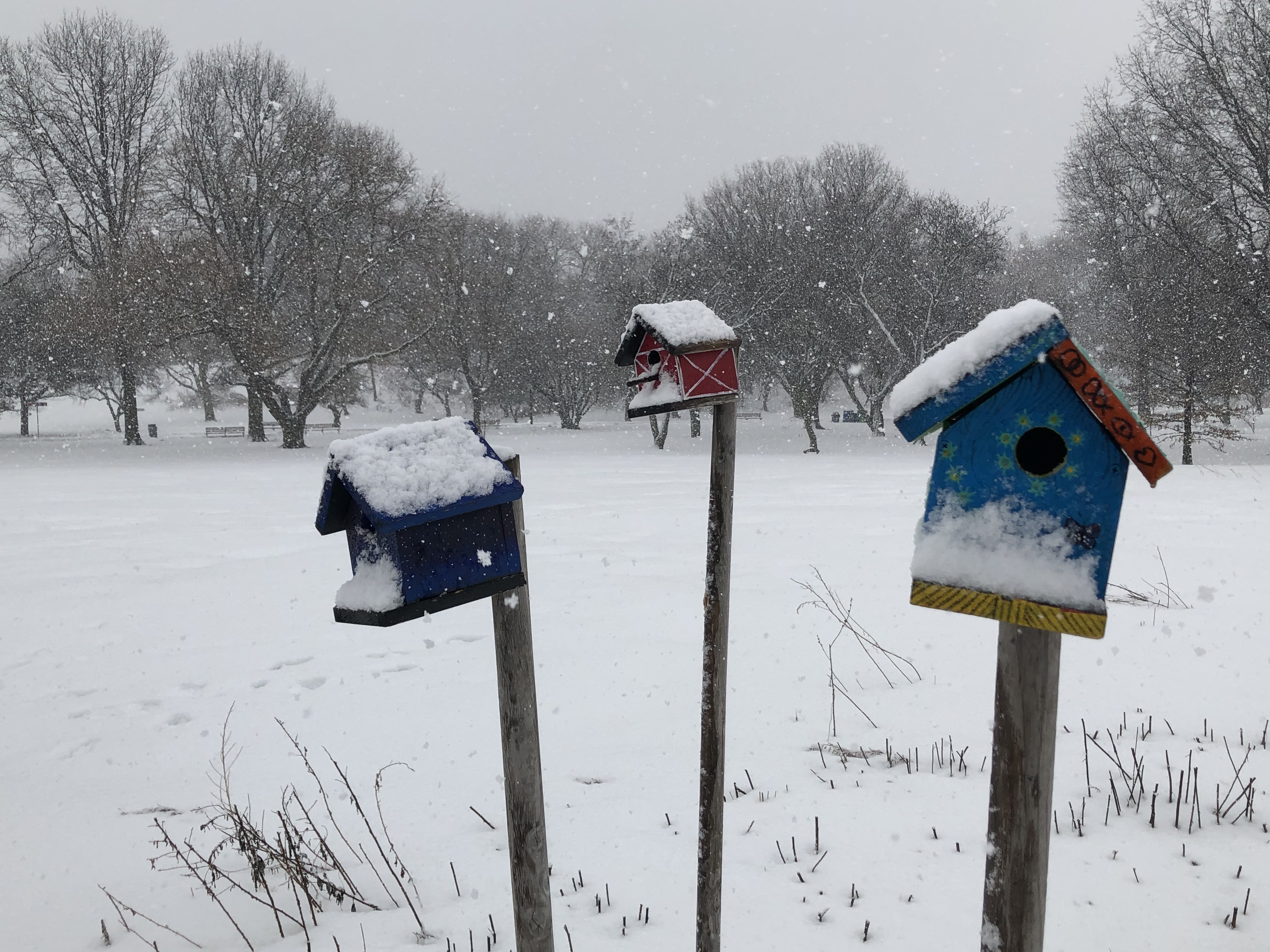 Bird Houses in the Snow.jpg