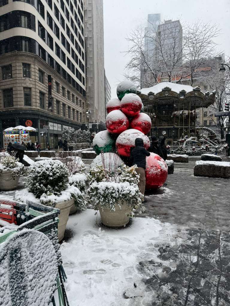 WhatsApp Image 2025-12-15 at 4.56.32 PM.jpeg